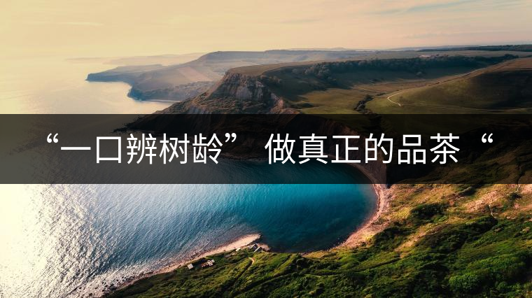 “一口辨樹(shù)齡” 做真正的品茶“大師”！