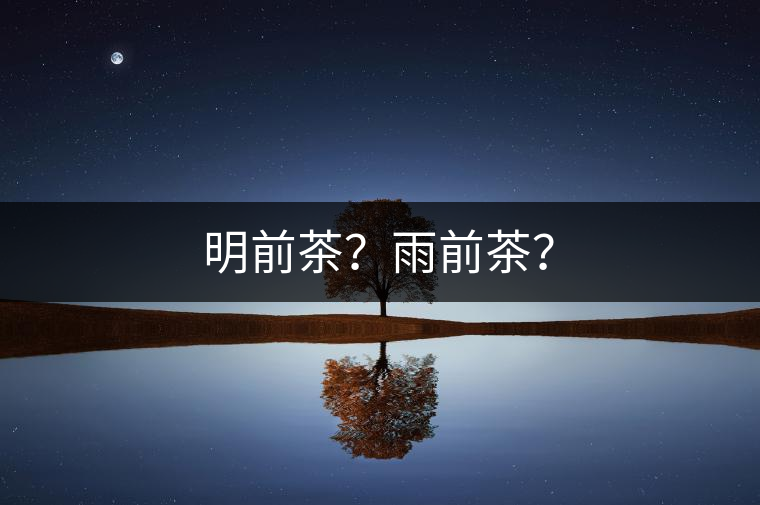 明前茶？雨前茶？