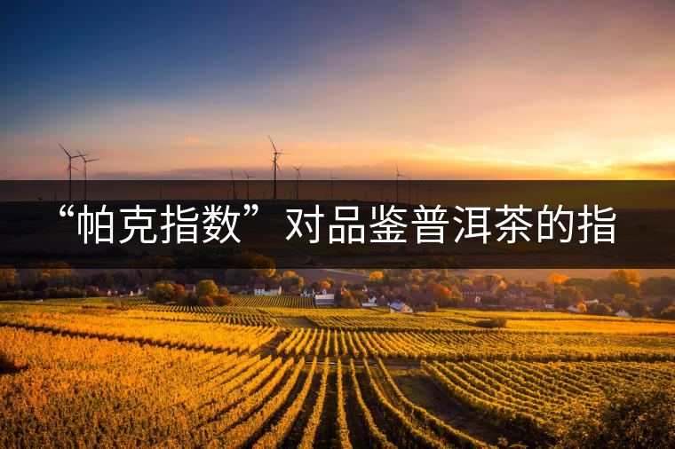 “帕克指數(shù)”對(duì)品鑒普洱茶的指導(dǎo)意義在哪里？「跨界有道」