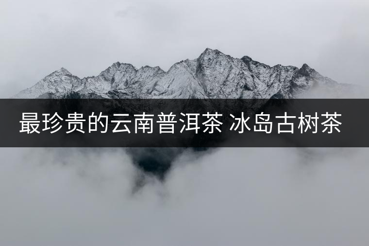 最珍貴的云南普洱茶 冰島古樹茶的品鑒