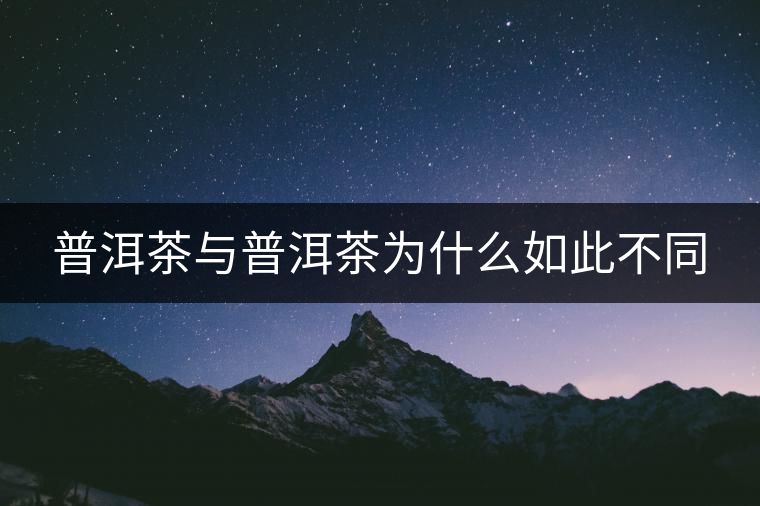 普洱茶與普洱茶為什么如此不同 普洱茶與普洱茶為什么如此不同