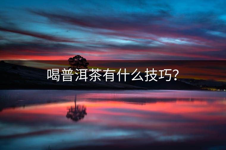 喝普洱茶有什么技巧？