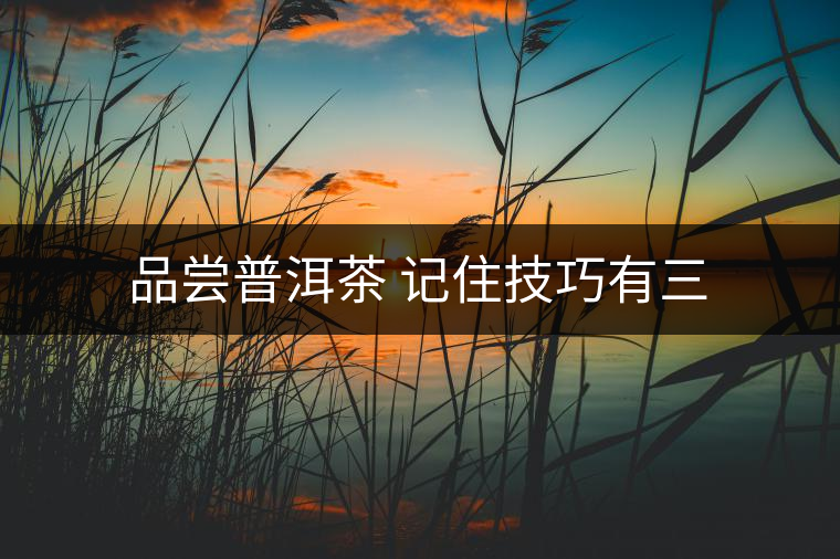 品嘗普洱茶 記住技巧有三 品嘗普洱茶 記住技巧有三