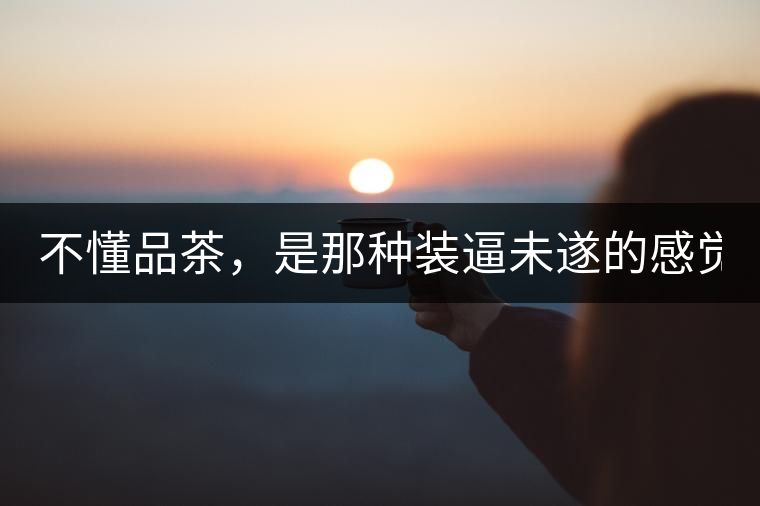 不懂品茶，是那種裝逼未遂的感覺？