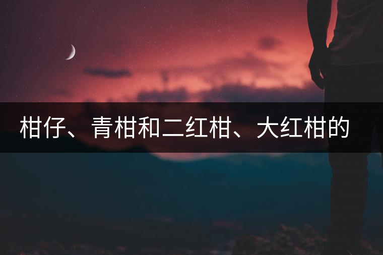 柑仔、青柑和二紅柑、大紅柑的區(qū)別，你可知道？