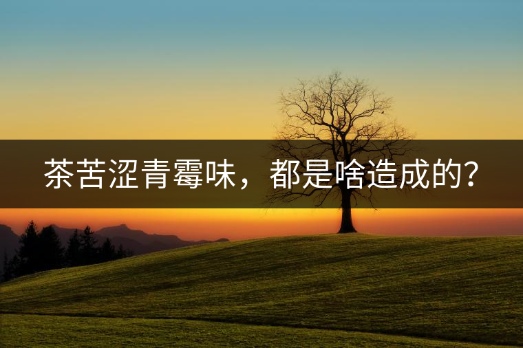 茶苦澀青霉味，都是啥造成的？