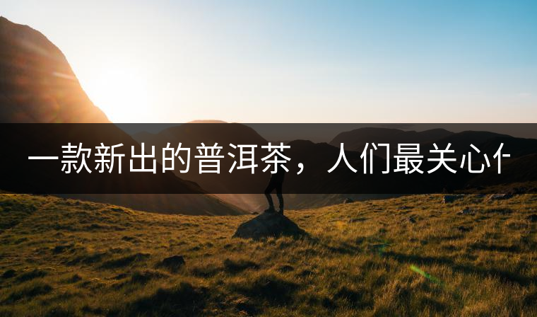 一款新出的普洱茶，人們最關(guān)心什么?