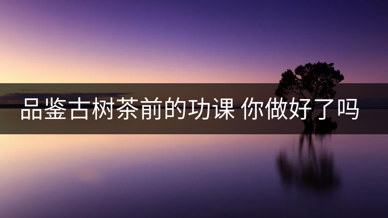 品鑒古樹茶前的功課 你做好了嗎？