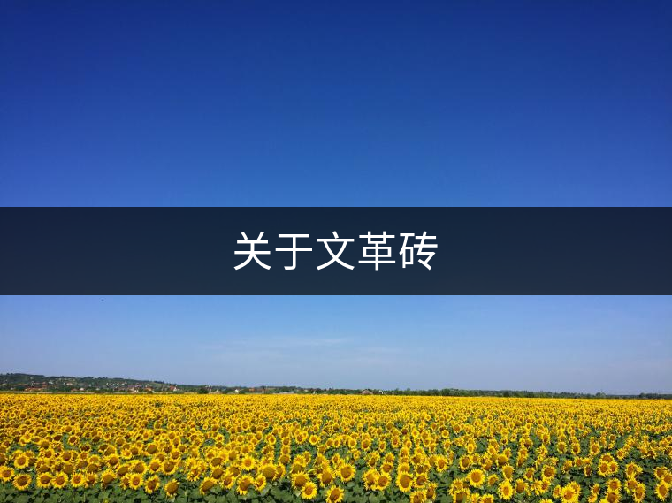 關(guān)于文革磚