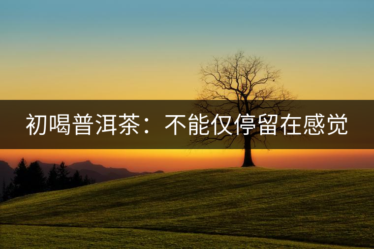 初喝普洱茶:不能僅停留在感覺 初喝普洱茶:不能僅停留在感覺