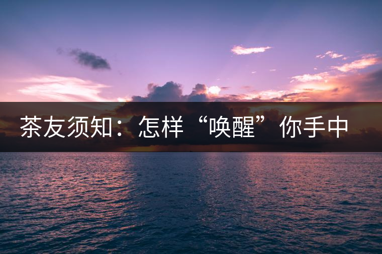 茶友須知：怎樣“喚醒”你手中的那一餅普洱茶？