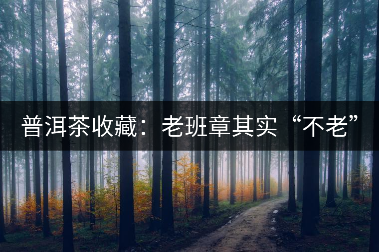 普洱茶收藏：老班章其實“不老”