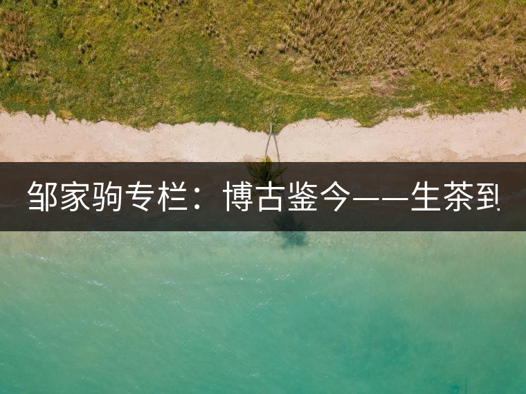 鄒家駒專欄：博古鑒今——生茶到底是不是普洱茶？