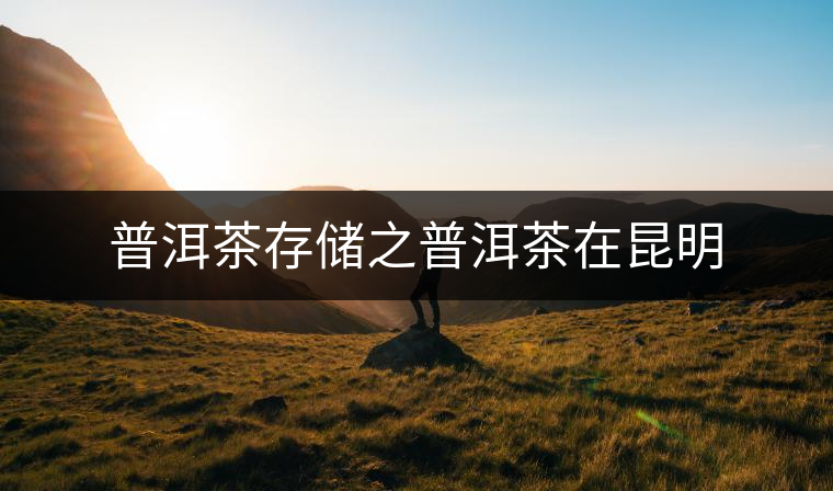 普洱茶存儲(chǔ)之普洱茶在昆明