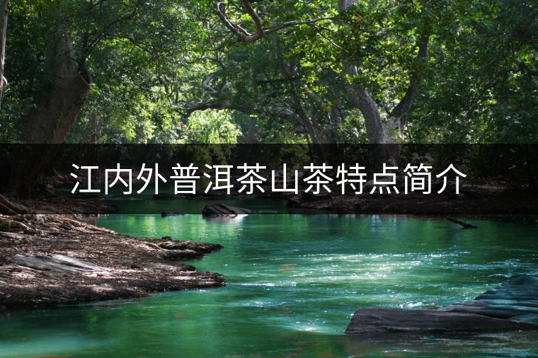 江內(nèi)外普洱茶山茶特點(diǎn)簡(jiǎn)介 江內(nèi)外普洱茶山茶特點(diǎn)簡(jiǎn)介