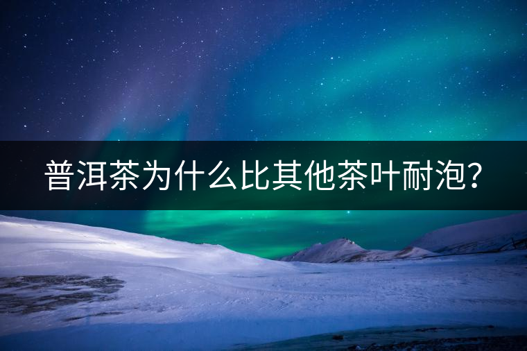 普洱茶為什么比其他茶葉耐泡？