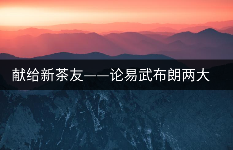 獻給新茶友——論易武布朗兩大風格 獻給新茶友——論易武布朗兩大風格