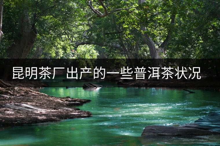 昆明茶廠出產(chǎn)的一些普洱茶狀況是怎樣？