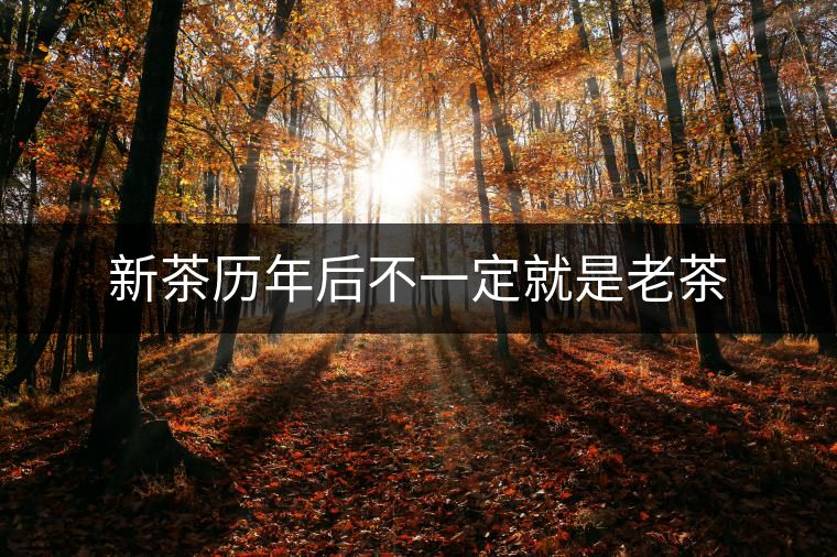 新茶歷年后不一定就是老茶 新茶歷年后不一定就是老茶