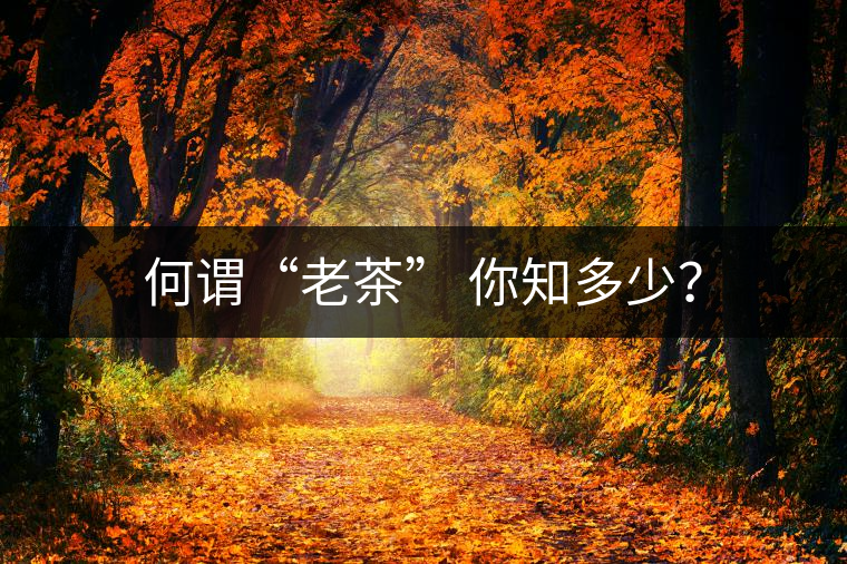 何謂“老茶” 你知多少？