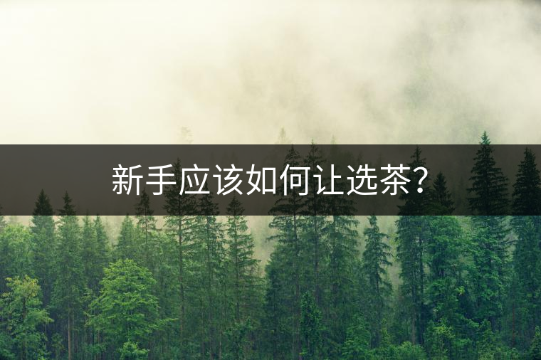 新手應(yīng)該如何讓選茶？
