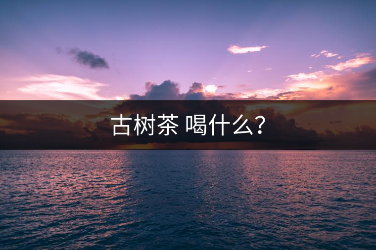 古樹茶 喝什么？