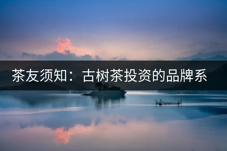 茶友須知：古樹茶投資的品牌系數分析