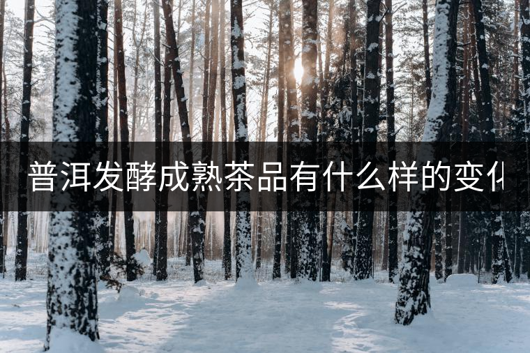 普洱發(fā)酵成熟茶品有什么樣的變化？