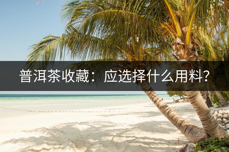 普洱茶收藏：應選擇什么用料？