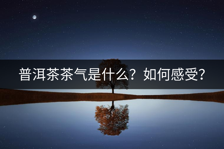普洱茶茶氣是什么？如何感受？