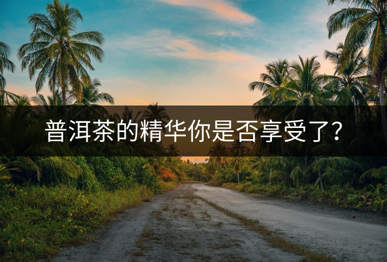 普洱茶的精華你是否享受了? 普洱茶的精華你是否享受了?