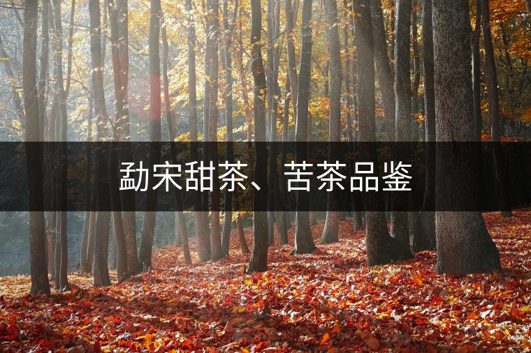 勐宋甜茶、苦茶品鑒