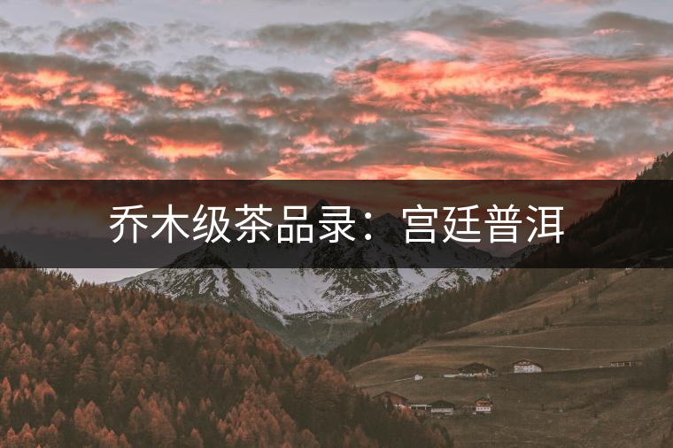 喬木級(jí)茶品錄:宮廷普洱 喬木級(jí)茶品錄:宮廷普洱