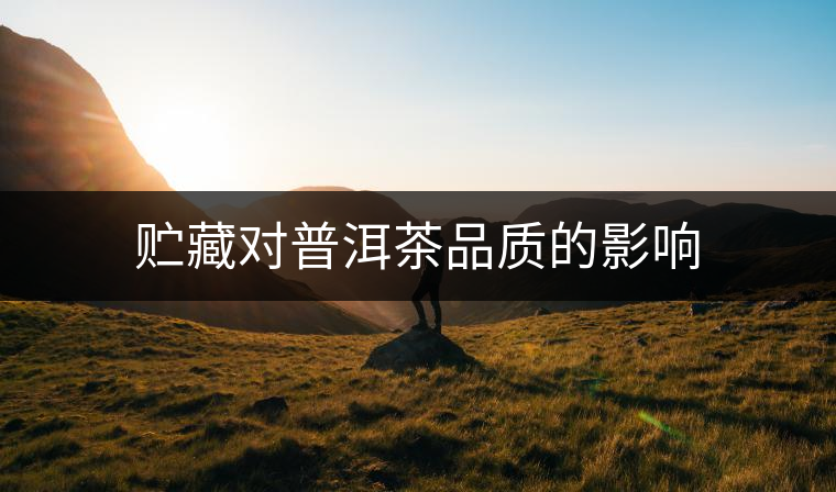 貯藏對普洱茶品質(zhì)的影響 貯藏對普洱茶品質(zhì)的影響