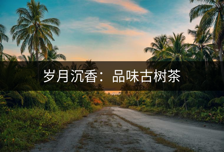 歲月沉香:品味古樹茶 歲月沉香:品味古樹茶