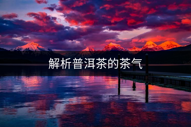 解析普洱茶的茶氣