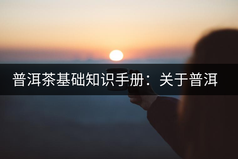 普洱茶基礎(chǔ)知識手冊:關(guān)于普洱茶的“六辨” 普洱茶基礎(chǔ)知識手冊:關(guān)于普洱茶的“六辨”