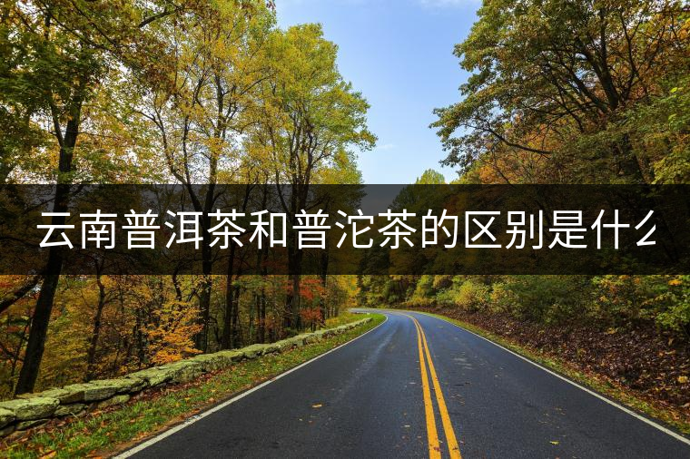 云南普洱茶和普沱茶的區(qū)別是什么? 云南普洱茶和普沱茶的區(qū)別是什么?