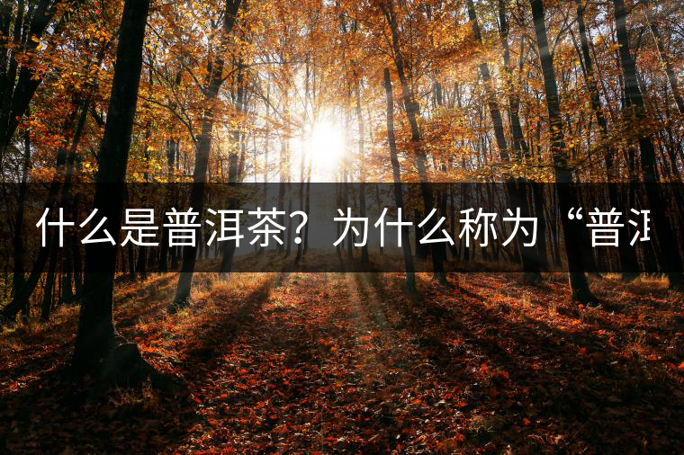 什么是普洱茶？為什么稱(chēng)為“普洱”？