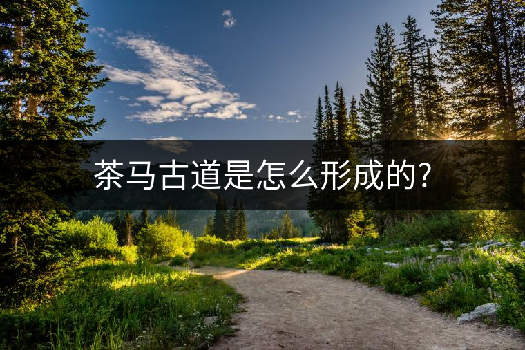 茶馬古道是怎么形成的? 茶馬古道是怎么形成的?