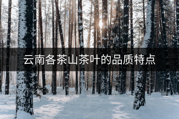 云南各茶山茶葉的品質(zhì)特點(diǎn) 云南各茶山茶葉的品質(zhì)特點(diǎn)