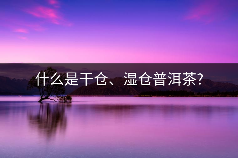 什么是干倉、濕倉普洱茶?