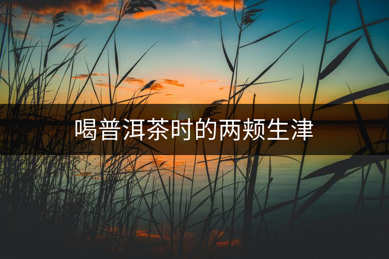 喝普洱茶時(shí)的兩頰生津 喝普洱茶時(shí)的兩頰生津