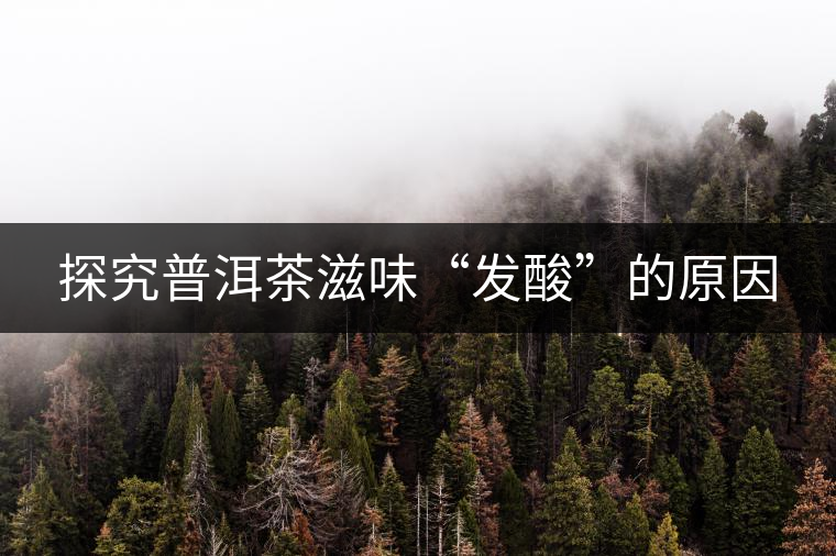 探究普洱茶滋味“發(fā)酸”的原因 探究普洱茶滋味“發(fā)酸”的原因