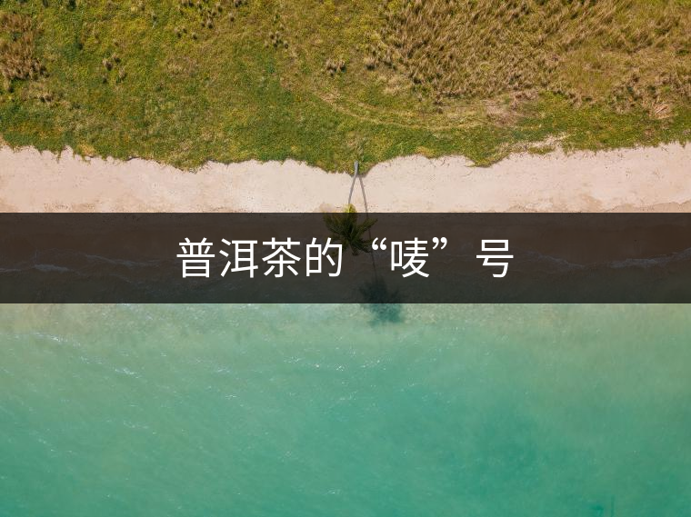普洱茶的“嘜”號(hào)