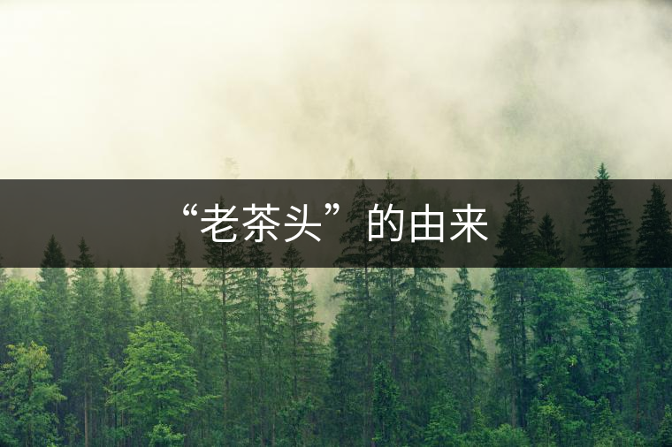 “老茶頭”的由來