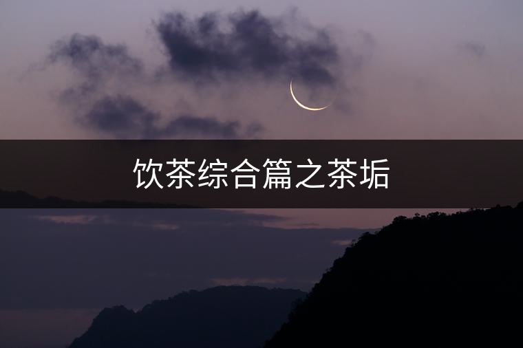 飲茶綜合篇之茶垢 飲茶綜合篇之茶垢