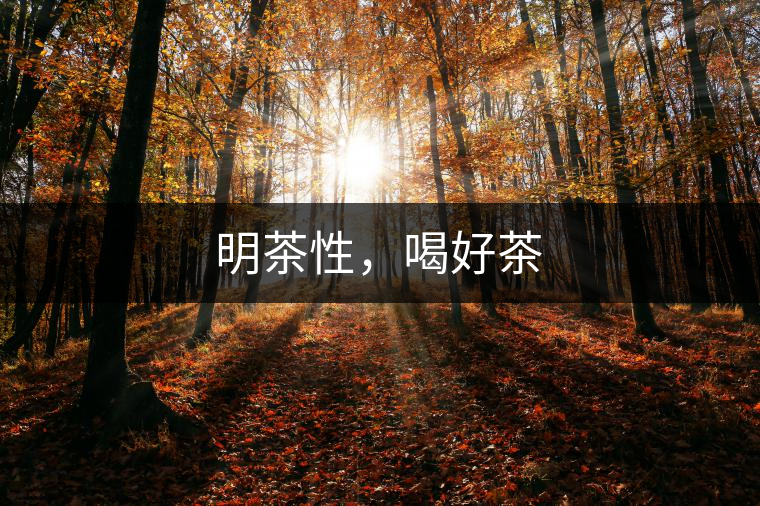 明茶性，喝好茶