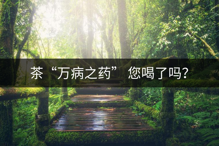 茶“萬(wàn)病之藥” 您喝了嗎？