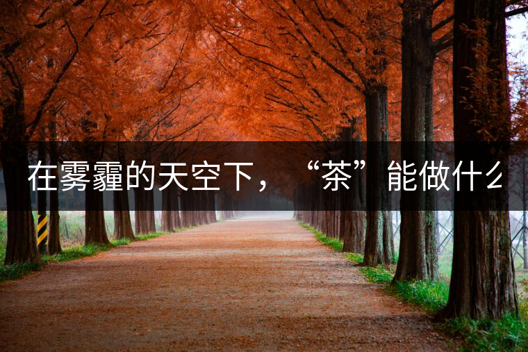 在霧霾的天空下，“茶”能做什么？